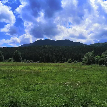 говерлянка *