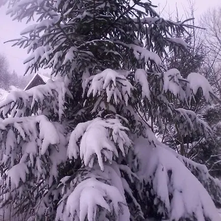 говерлянка Casa de Férias