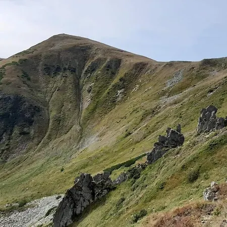 говерлянка Feriehus *