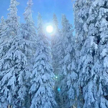 говерлянка Feriehus