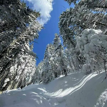 говерлянка * Vorokhta