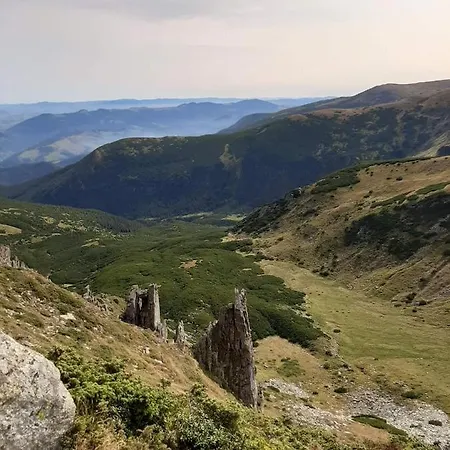говерлянка Feriehus *