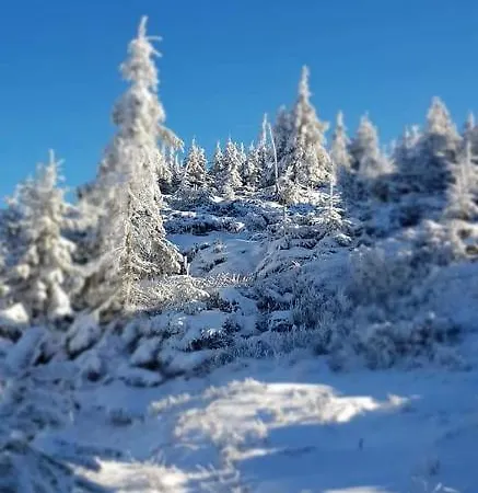 говерлянка Vorokhta