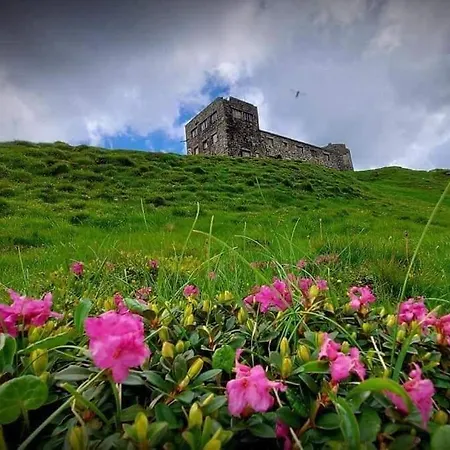 говерлянка *