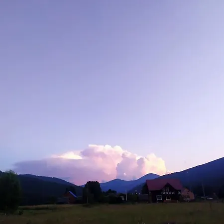 говерлянка