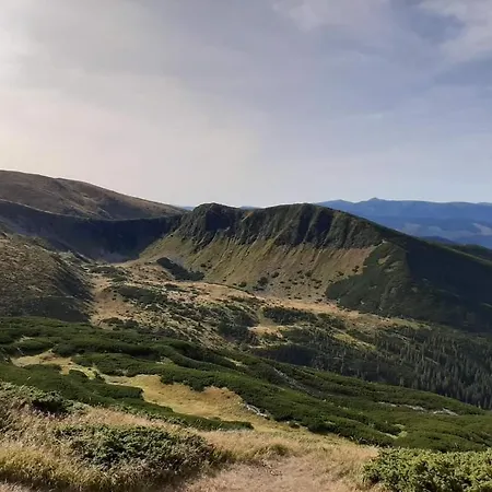 говерлянка Vorokhta