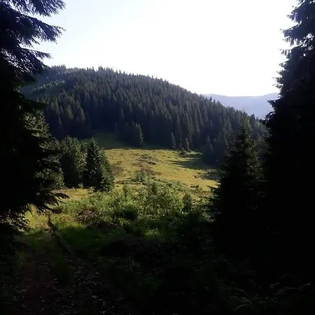 говерлянка Casa de Férias