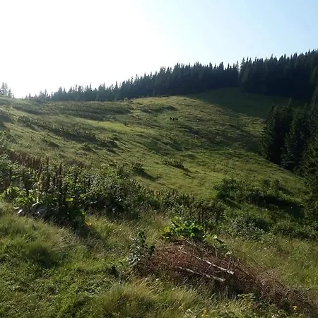 говерлянка * Vorokhta