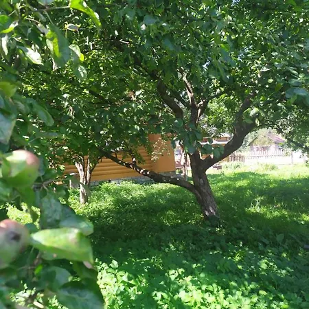 говерлянка Feriehus *