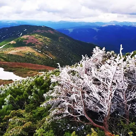 Feriehus говерлянка
