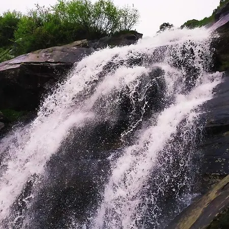 говерлянка * Vorokhta