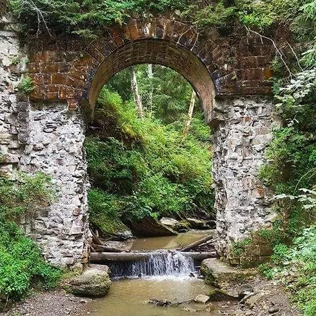 говерлянка *