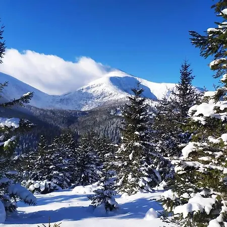 говерлянка Feriehus *