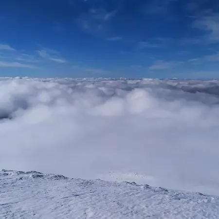 говерлянка *