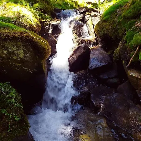 говерлянка *