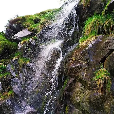 Feriehus говерлянка