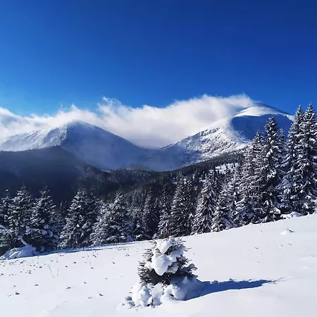 Casa de Férias говерлянка Vorokhta