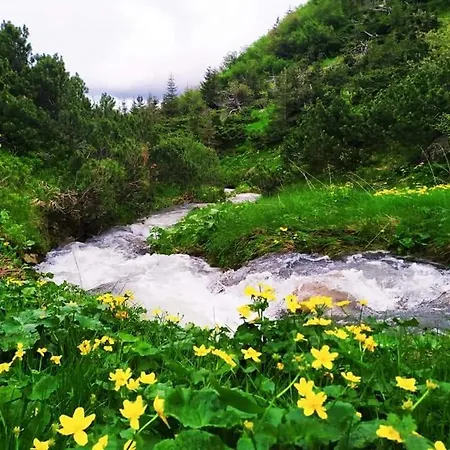 говерлянка Casa de Férias Vorokhta