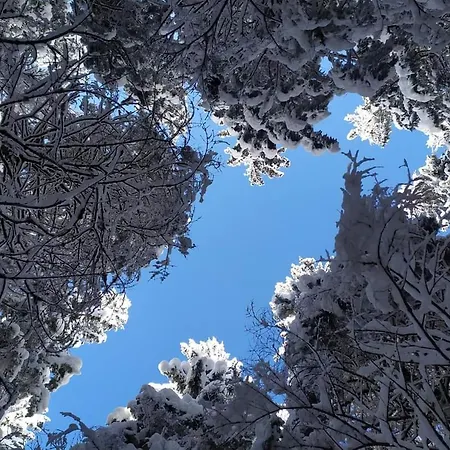 говерлянка Casa de Férias Vorokhta