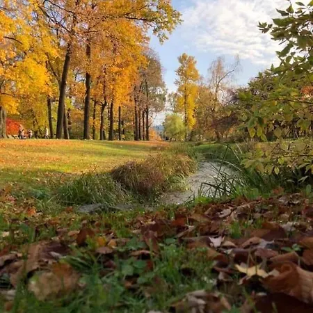 говерлянка Casa de Férias *