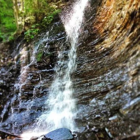 Casa de Férias говерлянка