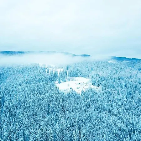 говерлянка Vorokhta