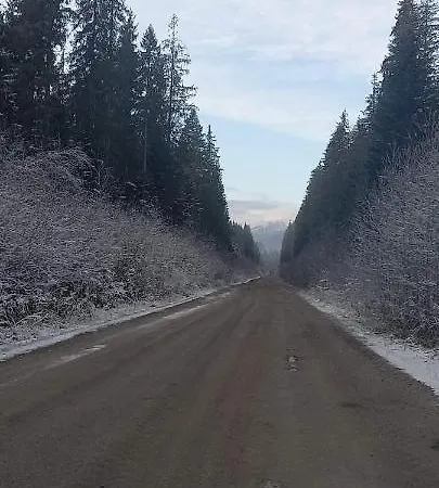 говерлянка Feriehus *