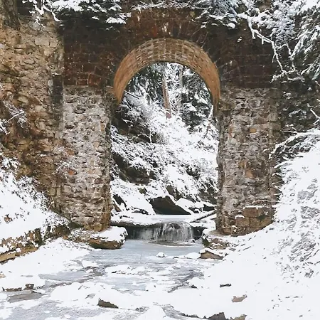 Feriehus говерлянка *