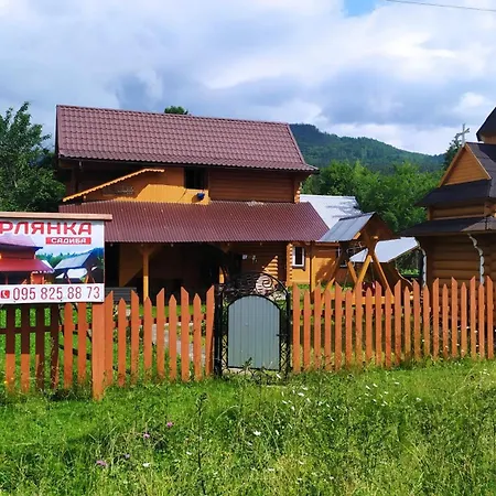 говерлянка *