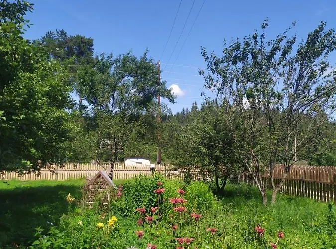 говерлянка * Worochta
