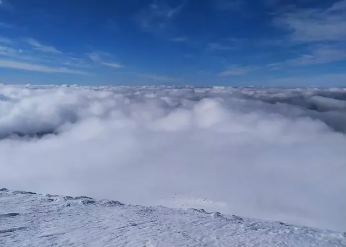 говерлянка *