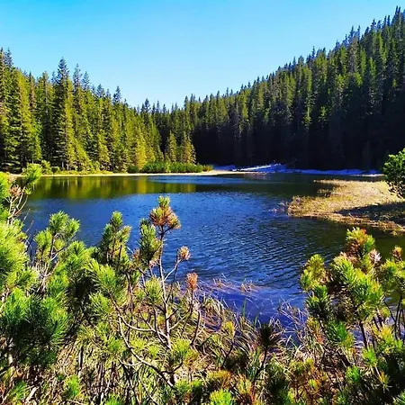 говерлянка Casa vacanze