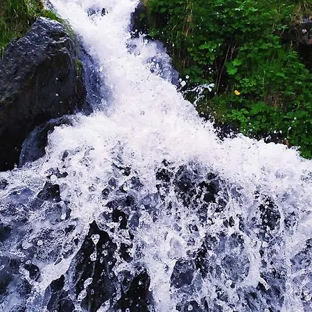 говерлянка *