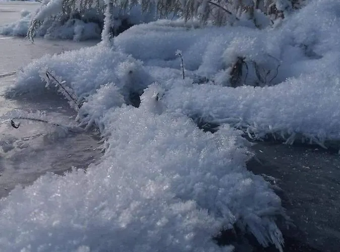 говерлянка Holiday home *