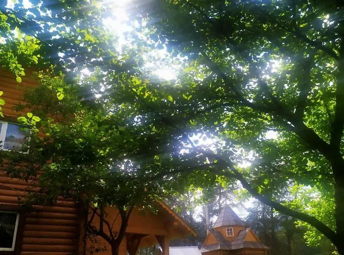 говерлянка Holiday home Vorokhta