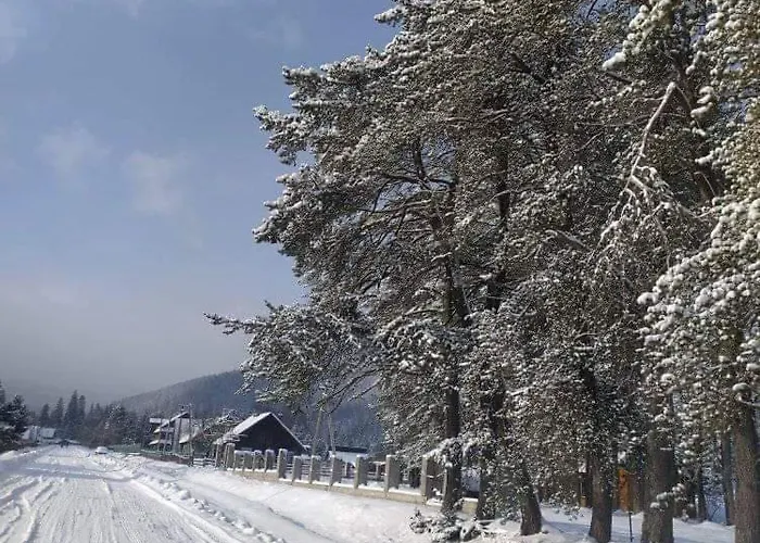 говерлянка Holiday home