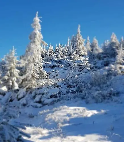 говерлянка Vorokhta
