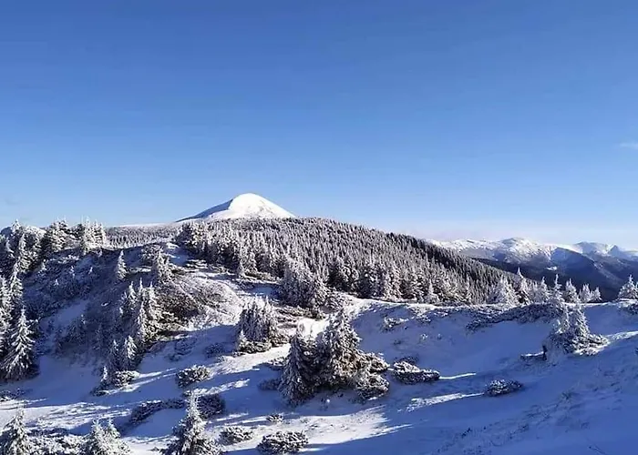 говерлянка